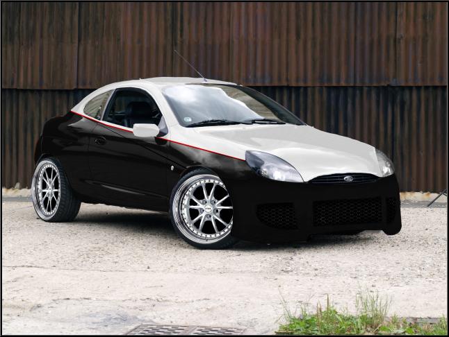 virtual puma 1_1.jpg